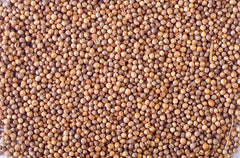 Coriander Seeds 7 oz - धनियाँको गेडा Dhaka Topi USA