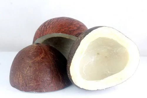 Dry Whole Coconut, 1 Piece Dhaka Topi USA