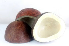Dry Whole Coconut, 1 Piece Dhaka Topi USA